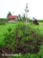 nově vysázený park na horním konci osady